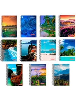 CADERNO PAISAGEM 1X1 80 FLS UN.