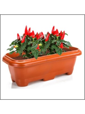 FLOREIRA MARROM 3L DE PLAST. UN.