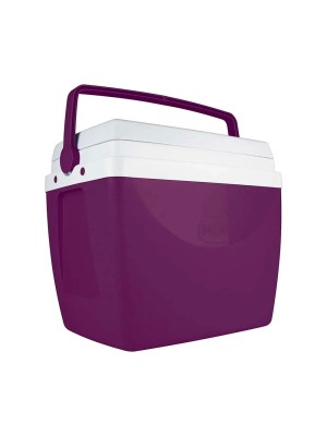 CAIXA TERMICA 34L ACAI