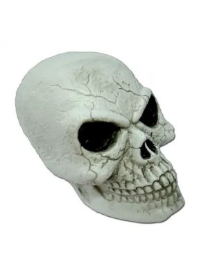 Crânio Grande de Plástico Realista Decoração de Halloween Enfeite Assustador para Festas